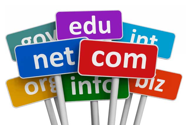 Perbedaan Hostong dan Domain untuk Website