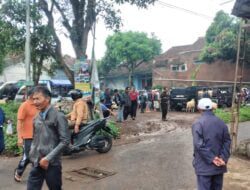 Meski Ditutup Peternak Domba di Sumedang Nekat Berjualan Tak Jauh dari Pasar Hewan