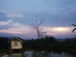 Wisata Sawah Kaduwulung Sumedang, Cara Lain Melihat Keindahan Alam