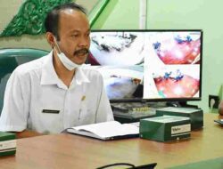 Asyik! Kelompok Usaha di Bandung Akan Terima Bantuan Ternak