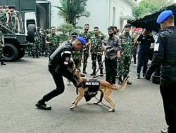 Pomdam III/Siliwangi Siapkan Anjing Pelacak untuk Dukung Pengawalan