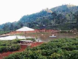 Pemda Sumedang Harus Punya Nyali Tertibkan Bangli di Kawasan Perkebunan Margawindu Cisoka
