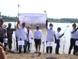 Tanam 2061 Pohon Mangrove, bank bjb Dukung Indonesia Tanpa Pencucian Uang dan Pendanaan Teroris