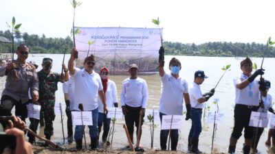 Tanam 2061 Pohon Mangrove, bank bjb Dukung Indonesia Tanpa Pencucian Uang dan Pendanaan Teroris