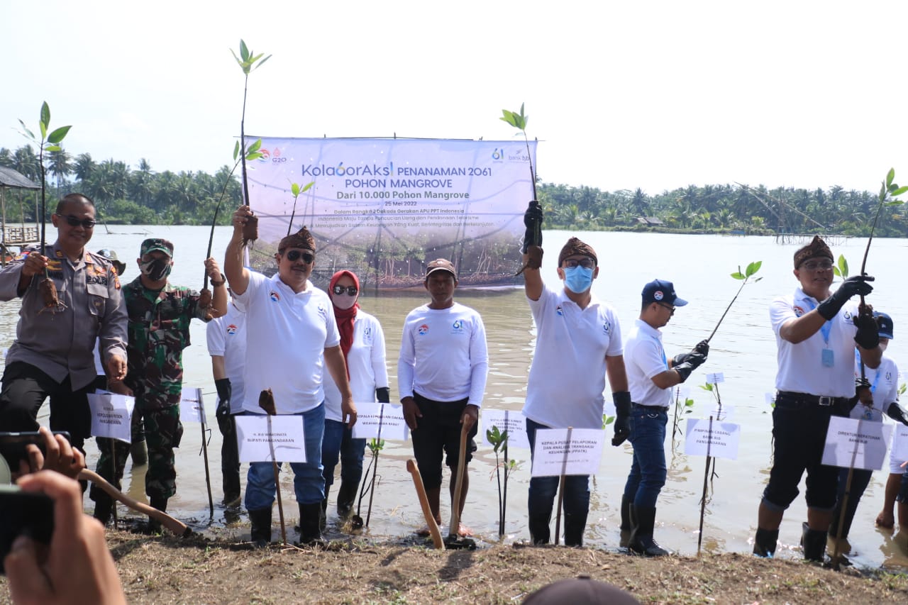 Tanam 2061 Pohon Mangrove, bank bjb Dukung Indonesia Tanpa Pencucian Uang dan Pendanaan Teroris