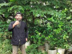 Khawatir Alih Fungsi Lahan Hutan, Pemerhati Lingkungan di Sumedang Minta Kebijakan dari Bupati