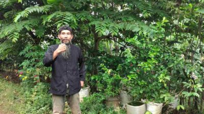 Khawatir Alih Fungsi Lahan Hutan, Pemerhati Lingkungan di Sumedang Minta Kebijakan dari Bupati