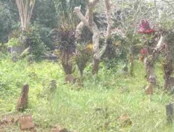 Memprihatinkan! Pemakaman Umum di Sindangpalay Sumedang Ini Penuh, Warga Butuh Lahan Baru