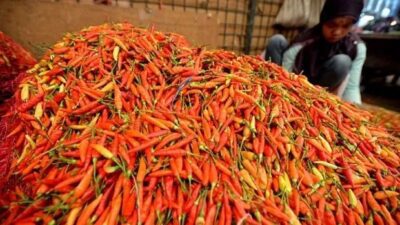 Jelang Idul Adha, Malah Harga Cabe Meroket di Sumedang, Sedangkan Daging Normal
