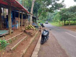 Menikmati Segarnya Kelapa Muda di Jalan Cadas Pangeran Sumedang