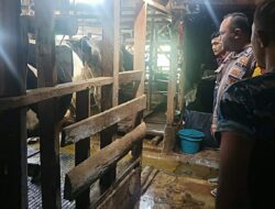 Bantu Deteksi Wabah PMK, Polisi Datangi Peternak di Pangalengan