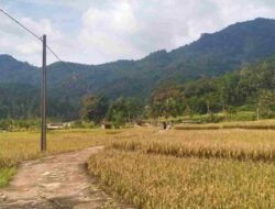 Warga Kampung Sagaramanik Cipancar Sumedang Keluhkan Minimnya Lampu PJU