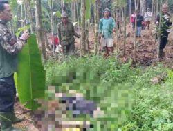 Niat Nyari Daun Aren, Seorang Pria di Desa Cilangkap Sumedang Ditemukan Tak Bernyawa
