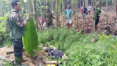 Niat Nyari Daun Aren, Seorang Pria di Desa Cilangkap Sumedang Ditemukan Tak Bernyawa