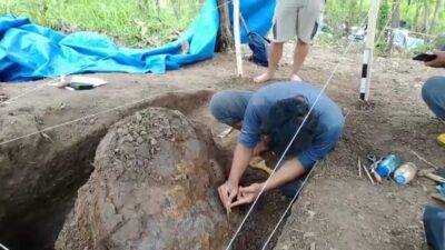 Fosil Kura-kura Hingga Gigi Buaya Purba Ditemukan Kembali Tim Arkeolog di Jembarwangi Sumedang