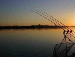 Cerita Pemancing di Sumedang, Mahluk Menyeramkan Itu Muncul dan Menemaninya di Atas Pohon