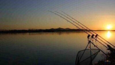 Cerita Pemancing di Sumedang, Mahluk Menyeramkan Itu Muncul dan Menemaninya di Atas Pohon