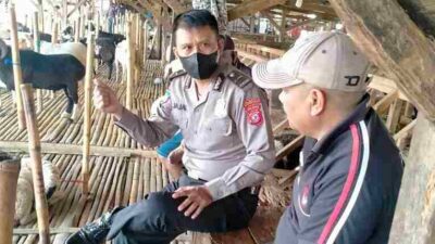 Waspadai Ciri-ciri PMK pada Kambing dan Domba, Polisi Datangi Pasar Banjaran
