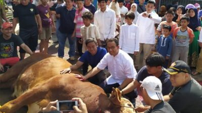 Amalan Idul Adha