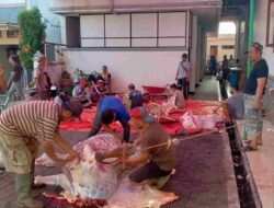 Jumlah Hewan Qurban di Mesjid Agung Sumedang Menurun