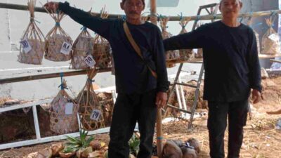 Budaya Riinjing