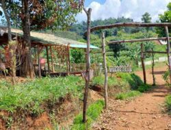 Meski Dibatasi 75 Persen, Objek Wisata Samalengoh Camp Sumedang Masih Sepi Pengunjung