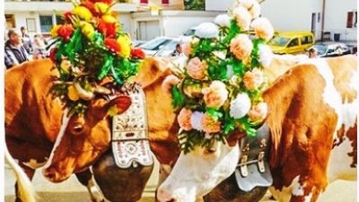 7 Tradisi Unik Perayaan Idul Adha di Berbagai Negara