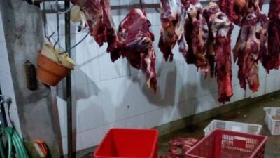 Harga Daging Sapi