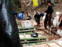 Ratusan Monyet Liar Meresahkan di Sumedang Berhasil Ditangkap Pawang