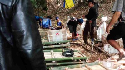 Ratusan Monyet Liar Meresahkan di Sumedang Berhasil Ditangkap Pawang