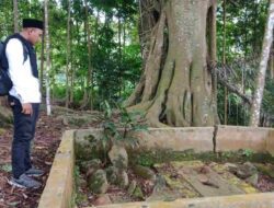 Misteri Ular Hitam Sang Penunggu Makam Kramat Mbah Jawi di Sumedang