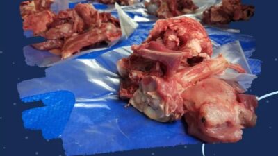 Bagaimana Hukum Menjual Tulang Atau Daging Kurban? Berikut Penjelasannya