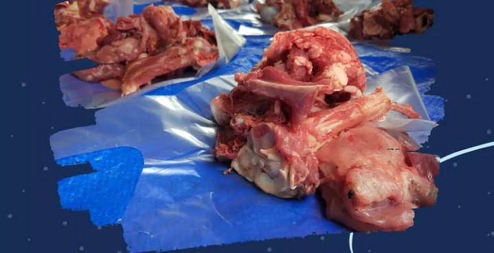 Hukum menjual daging kurban