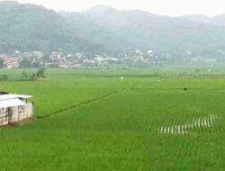 DPRD Heran Lahan Sawah di Kabupaten Bandung Menyusut Signifikan
