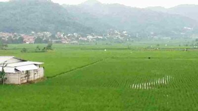DPRD Heran Lahan Sawah di Kabupaten Bandung Menyusut Signifikan