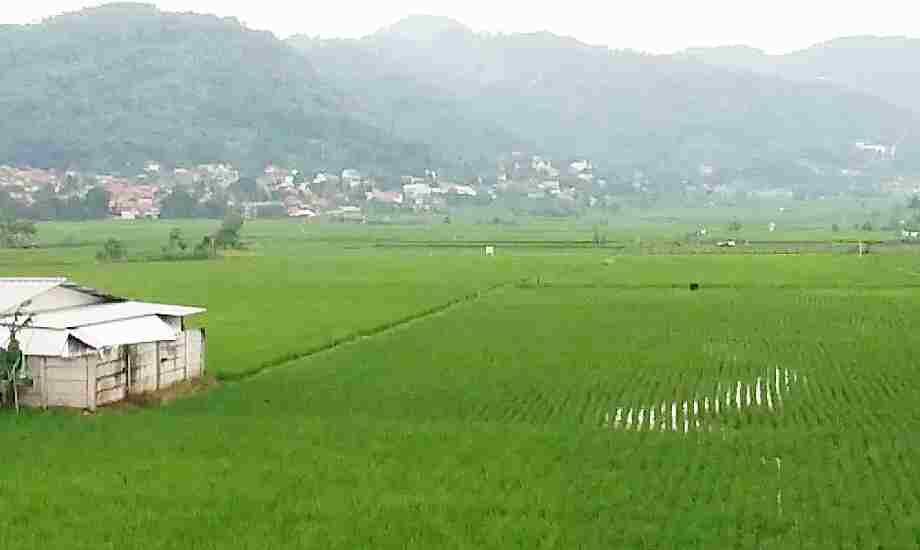 lahan sawah menyusut