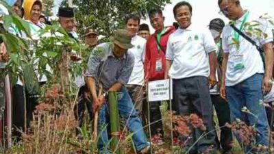 Puluhan Hektar Lahan di Kawasan Cirasea Kabupaten Bandung dalam Kondisi Kritis