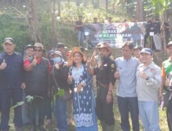 80 Hektare Lahan Gunung Geulis Sumedang Kritis, Dishut Jabar dan Pemdes Jatiroke Lakukan Penanaman