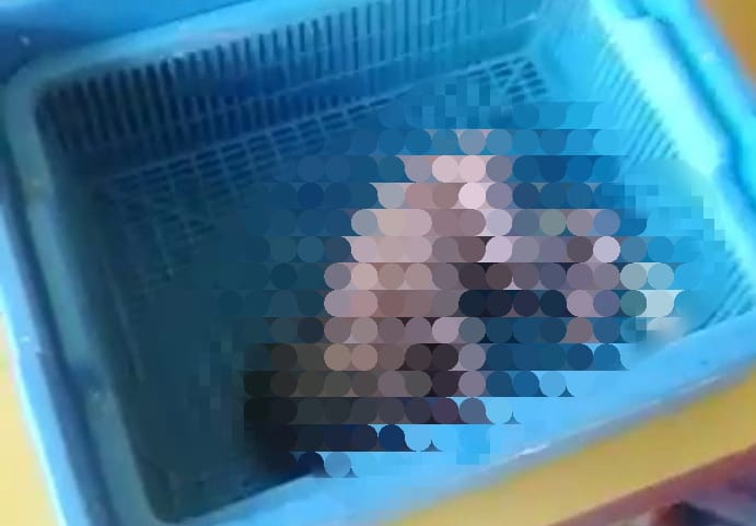Penemuan Bayi Laki-laki