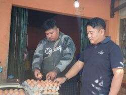 Harga Telur Broiler Terus Merangkak Naik dan Update Harga Sembako