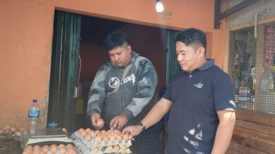 Harga Telur Broiler Terus Naik