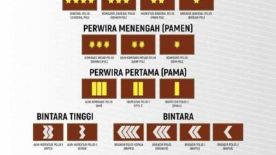 Pangkat di Kepolisian