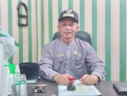 Ubi Cilembu Asli Ternyata Hanya Ditanam 50 Hektare