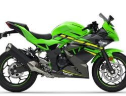 Kawasaki Luncurkan Penyegaran Baru untuk Ninja Versi Mesin Kecilnya