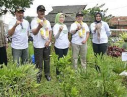 Atasi Lahan Kritis di Parongpong Bandung, Atalia Praratya Ajak Warga Tanam Pohon