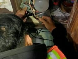 Resahkan Warga, Seekor Ular Dievakuasi dari Kawasan Rancasari Bandung