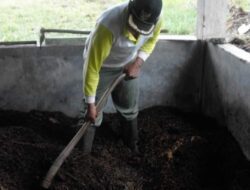 Tak Hanya Sumber Energi, Limbah Padat Kopi juga Bisa jadi Pupuk Organik