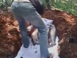 Ikan Jelmaan Prajurit Prabu Siliwangi di Cibulan Kuningan Mati Massal Mendadak