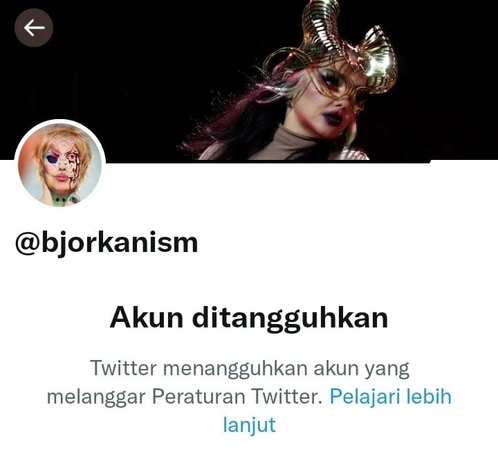 Cuitan Hacker Bjorka