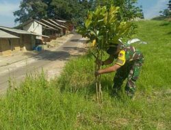 Go Green, Satgas Citarum Harum Tanam Pohon di Puncak Bintang Cimenyan